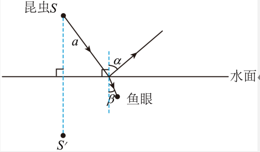 子题答案图